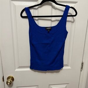 Express Blue Fitted Sleeveless Tank Top
